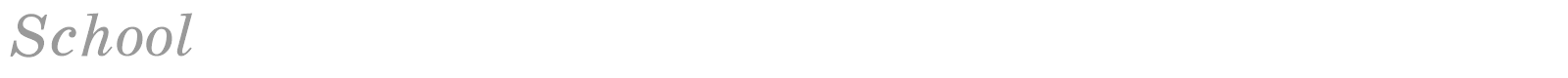 School font preview